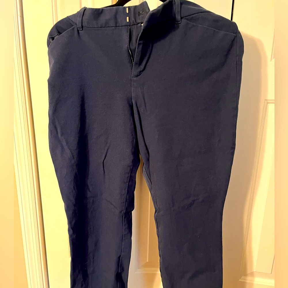 Gap Women’s Skinny Ankle Navy Pants Sz 14